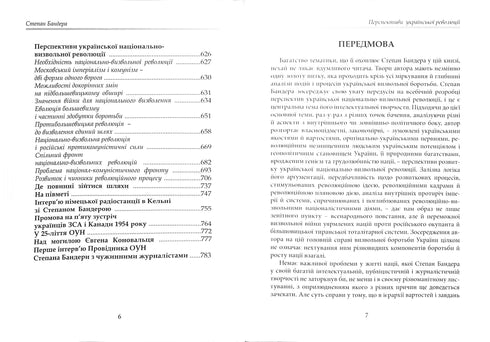 Перспективи української революції