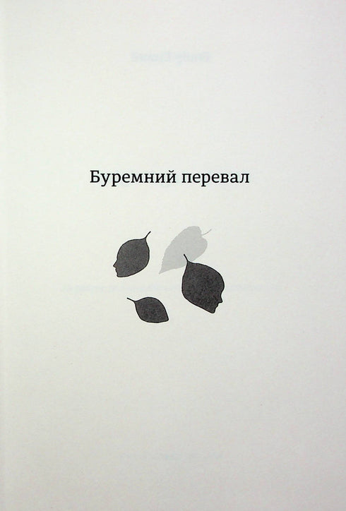 The Stormy Pass - 9786178286668