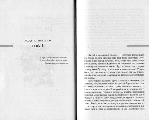 Дім на горі