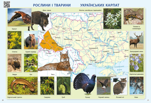 Я досліджую світ. 3 клас. Атлас