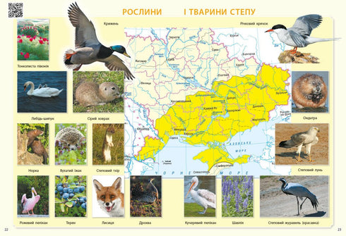 Я досліджую світ. 3 клас. Атлас