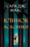 Клинок асасинки