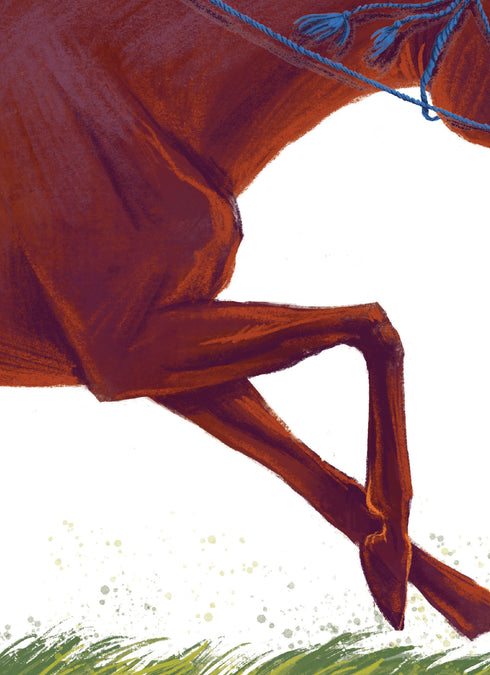 Мері. Казкова повість