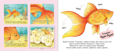 Мої улюбленці