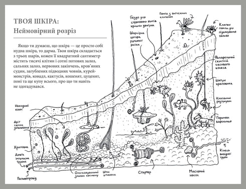 Що це за орган? Дурнуватий довідник з анатомії твого тіла
