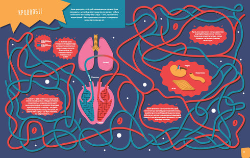 Тіло людини