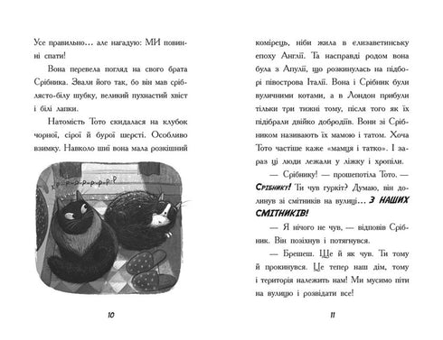 Тото. Кішка-ніндзя та велика втеча змія. Книга 1