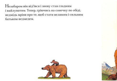 Ведмеже диво