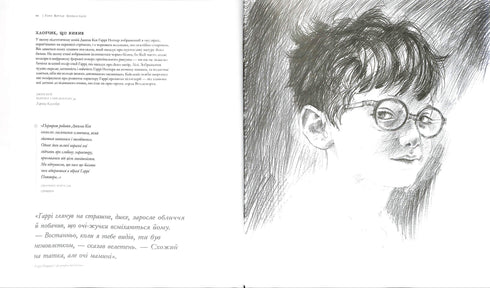 Гаррі Поттер. Історія магії