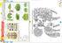 Barvik: Art Album for 4th Grade