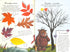 The Gruffalo. Autumn and Winter Paths