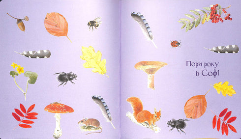 Експедиція з мурахою Софі. Досліджуємо природу навколо нас