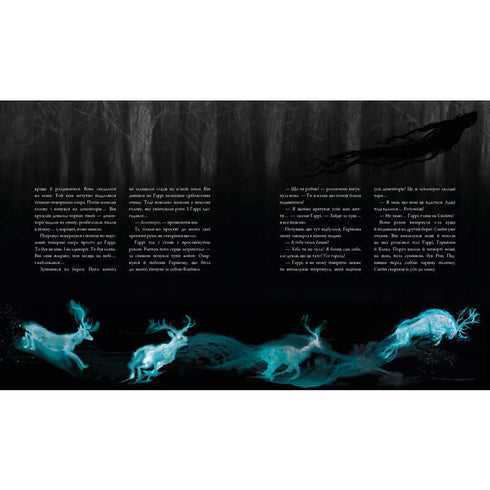 Harry Potter and the Prisoner of Azkaban. Large Illustrated Edition. Book 3 (Ukrainian Edition)