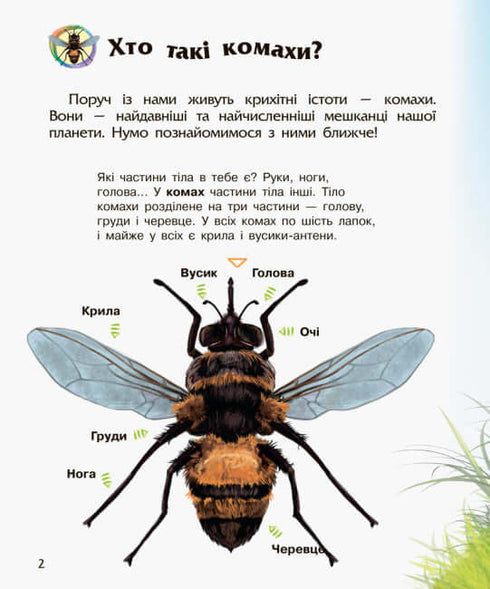Енциклопедія дошкільника. Комахи (тираж закінчився)